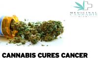Medicinal Cannabis Miami image 3